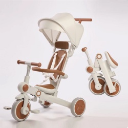 Multifunction Baby Trike